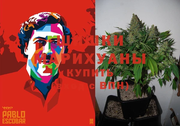 jwh Каменногорск