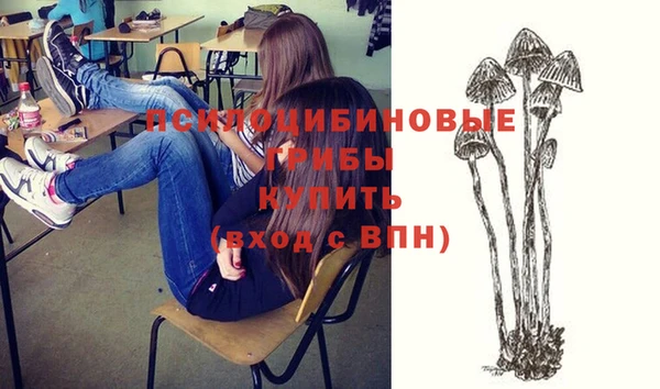 jwh Каменногорск